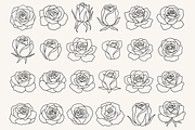 Rose Flower Line Art Illustration, a Decorative Illustration by Kusumaillustration (Thumbnail 3 of 11)