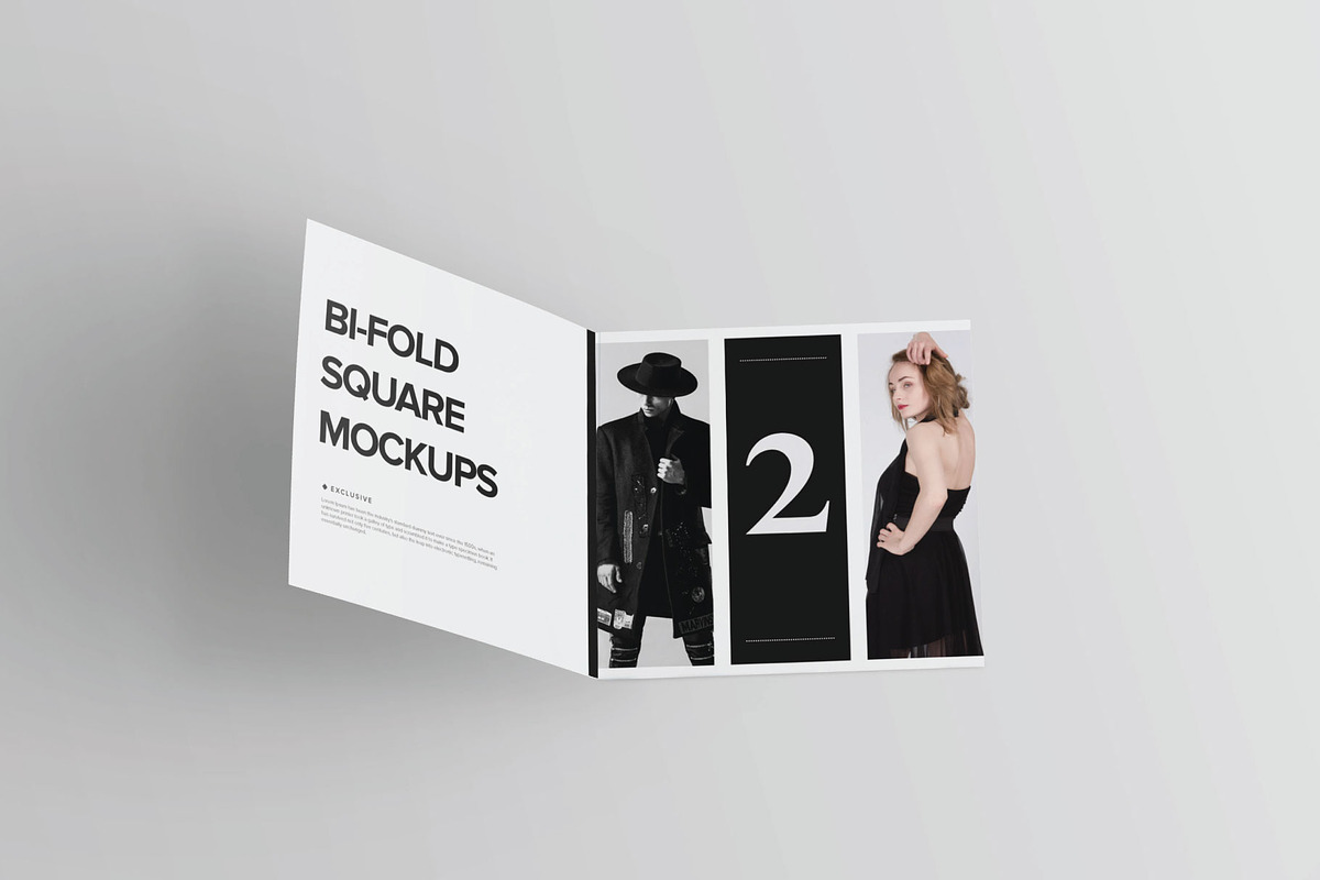 Bi-Fold Brochure Mockup 8 Style, a Print Template by Mockstore (Photo 9 of 18)