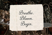 Gardia: Delicate Vintage Script Font, a Script Font by Tyasify (Thumbnail 6 of 7)