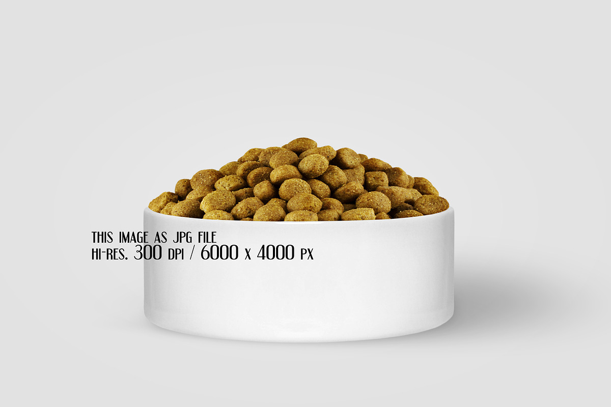 Dog Bowl Mockup, a Product Mockup by Dorado Stock (Photo 5 of 6)