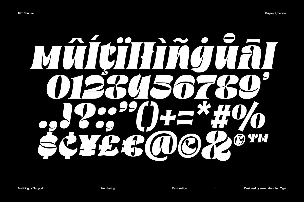 MIT Neurise, a Serif Font by Maculinc Type (Photo 11 of 12)