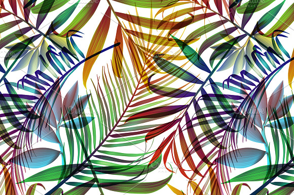 Tropical Colorful Palm Jungle Leaves