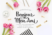 Bonjour Mon Ami, a Script Font by Laura Bolter Design (Thumbnail 1 of 5)