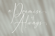 Faith Claire | Elegant Script Font, a Script Font by Typoraith Co (Thumbnail 9 of 11)