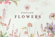 35 Vintage Flowers Collection, an Object Graphic by EvitePapery (Thumbnail 1 of 7)
