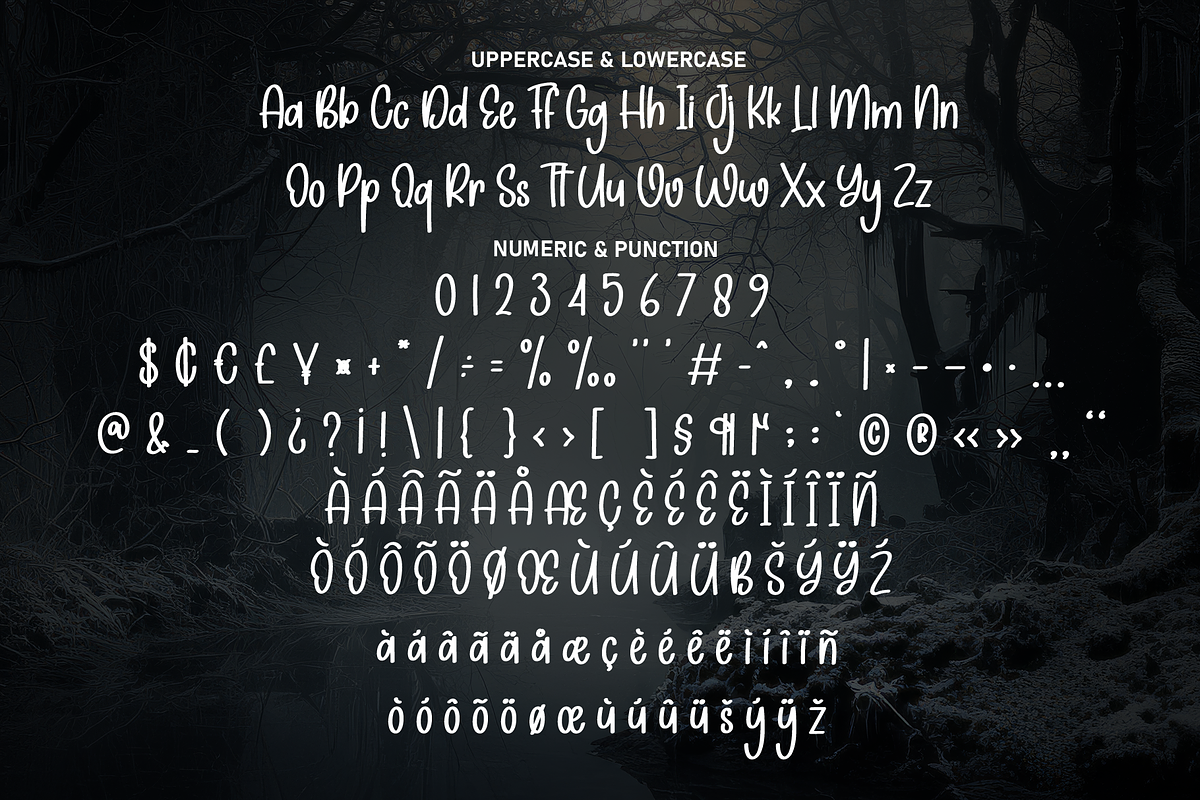 Winter Nightmare | Script Font, a Script Font by Scratchones (Photo 7 of 8)