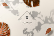 520 A to Z Floral Logos Bundle, a Branding & Logo Template by AN Productions (Thumbnail 199 of 223)