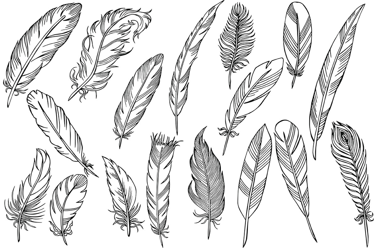 Vector feathers, an Illustration by risovanya (Photo 2 of 4)