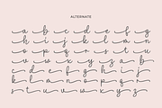 Blushing Hearts - A Font Duo, a Script Font by Ainun Jinan (Thumbnail 7 of 9)