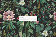 Botanical Elegant English Pattern, an Illustration by likorbut (Thumbnail 2 of 9)