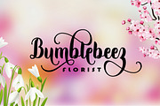 Wildaloney Script, a Script Font by akrtype (Thumbnail 1 of 7)