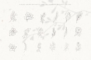 Botanical Alphabet & Monograms., a Decorative Illustration by Designwork (Thumbnail 8 of 18)