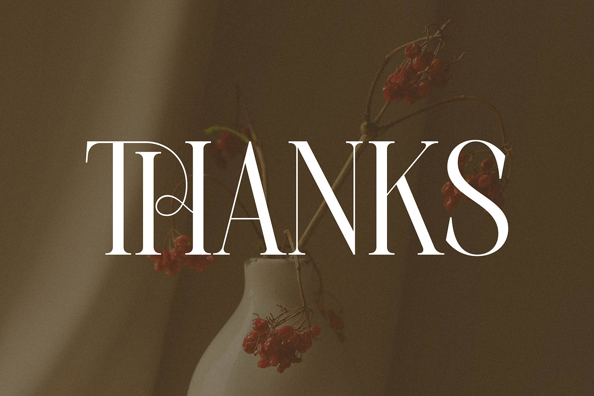 Charthe Modern Font Serif, a Serif Font by Storytype Studio (Photo 15 of 15)