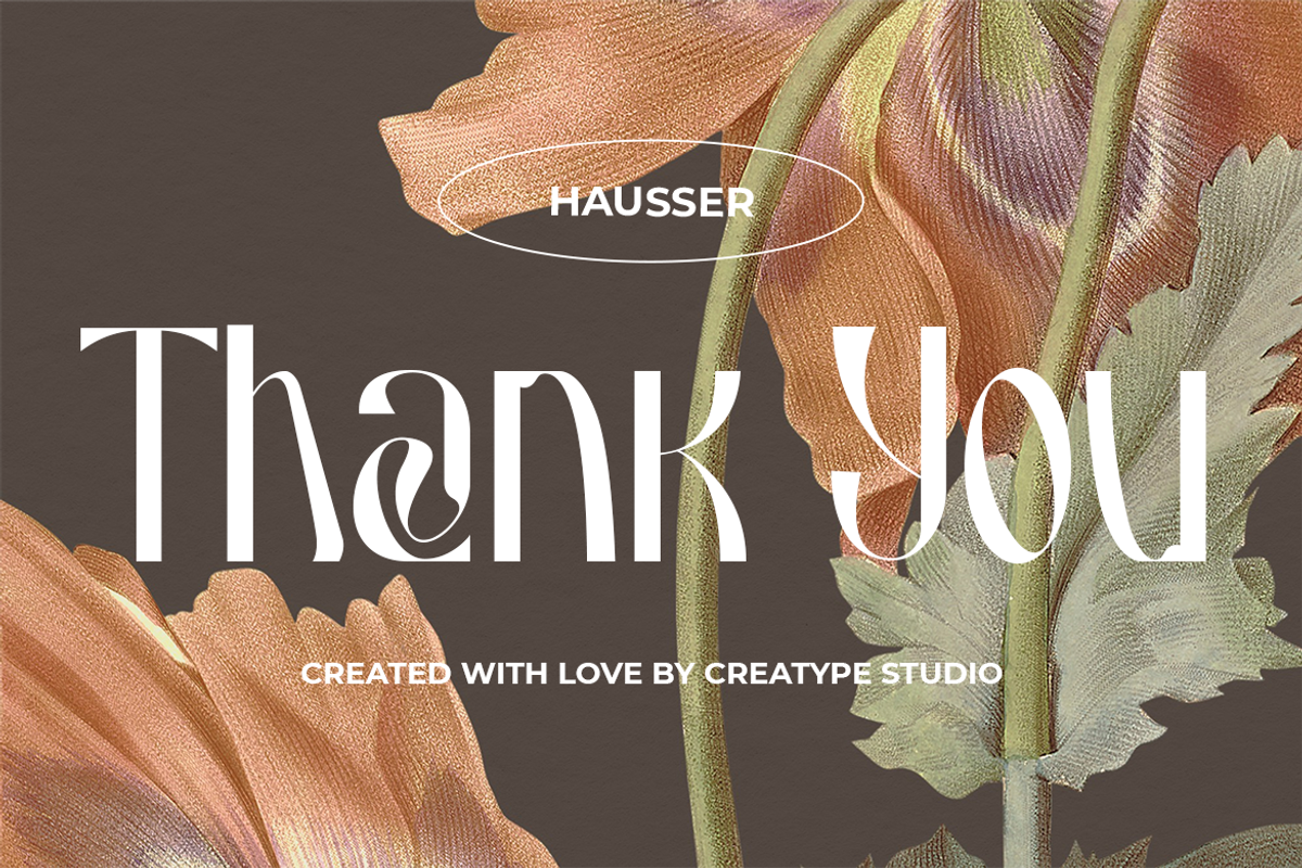Hausser Modern Display, a Font by Creatype Studio (Photo 11 of 11)