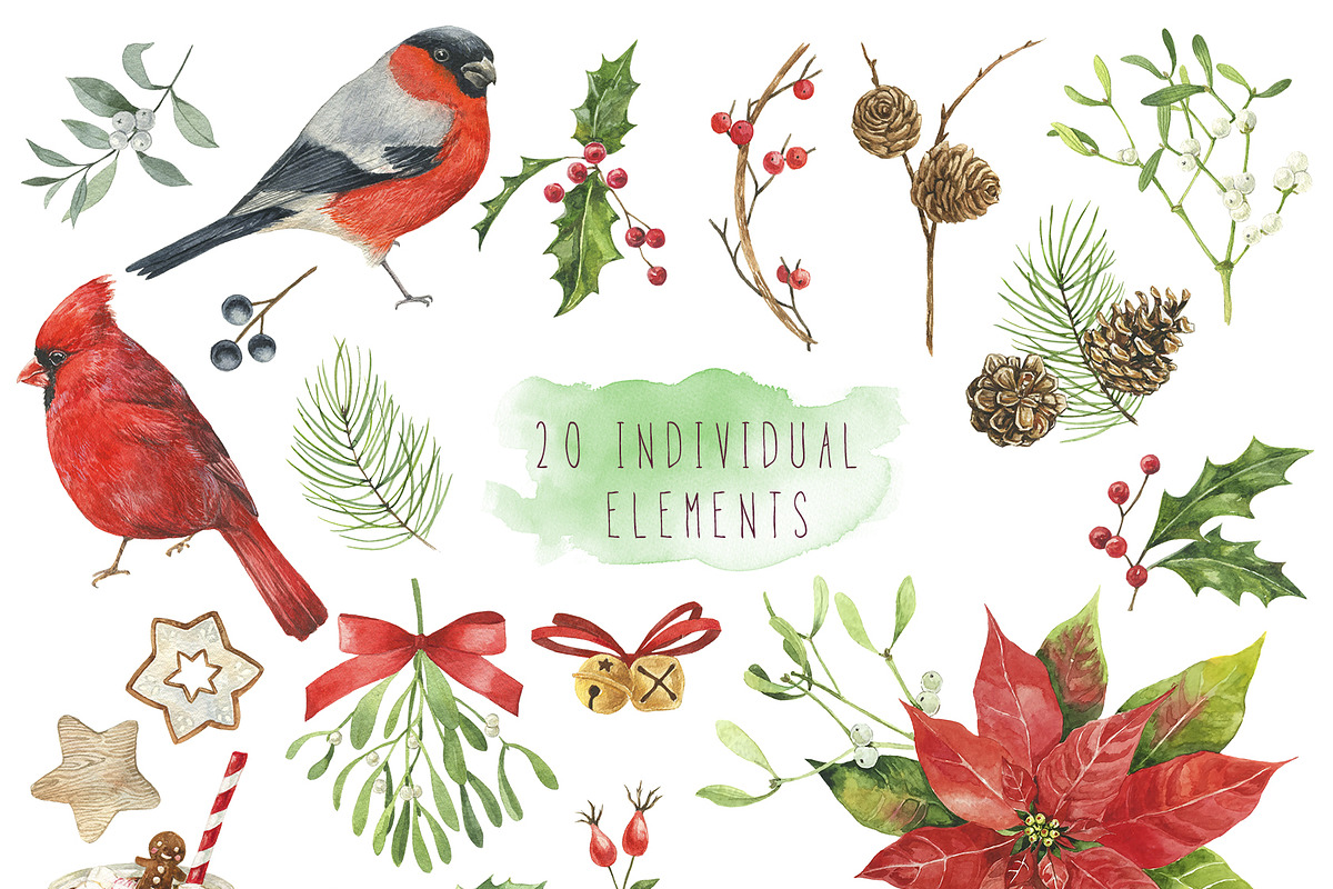 Christmas Florals&Birds, an Illustration by PS_patterns (Photo 2 of 5)