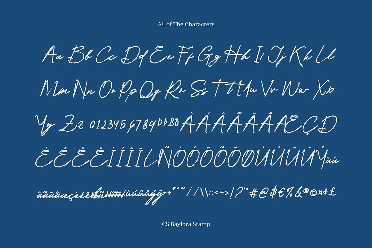CS Baylora Stamp, a Script Font by Craft Supply Co. (Photo 8 of 8)