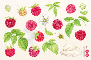 Garden Raspberry. Watercolor Set