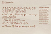 Breathy Signature, a Script Font by Nathatype (Thumbnail 9 of 10)