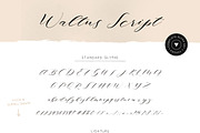 Waltus, a Script Font by vuuuds (Thumbnail 6 of 6)