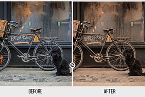 Retro Look Vintage LUTs Bundle