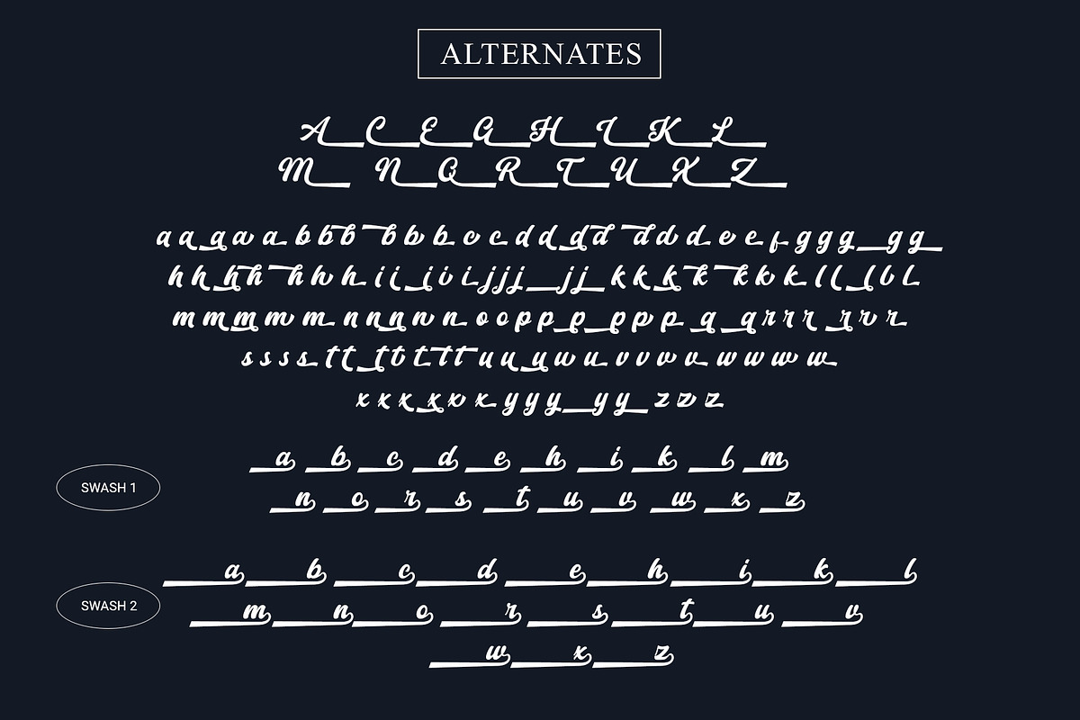 Chicago Downton - Bold Script Font, a Handwritten Font by Myn Type (Photo 10 of 10)