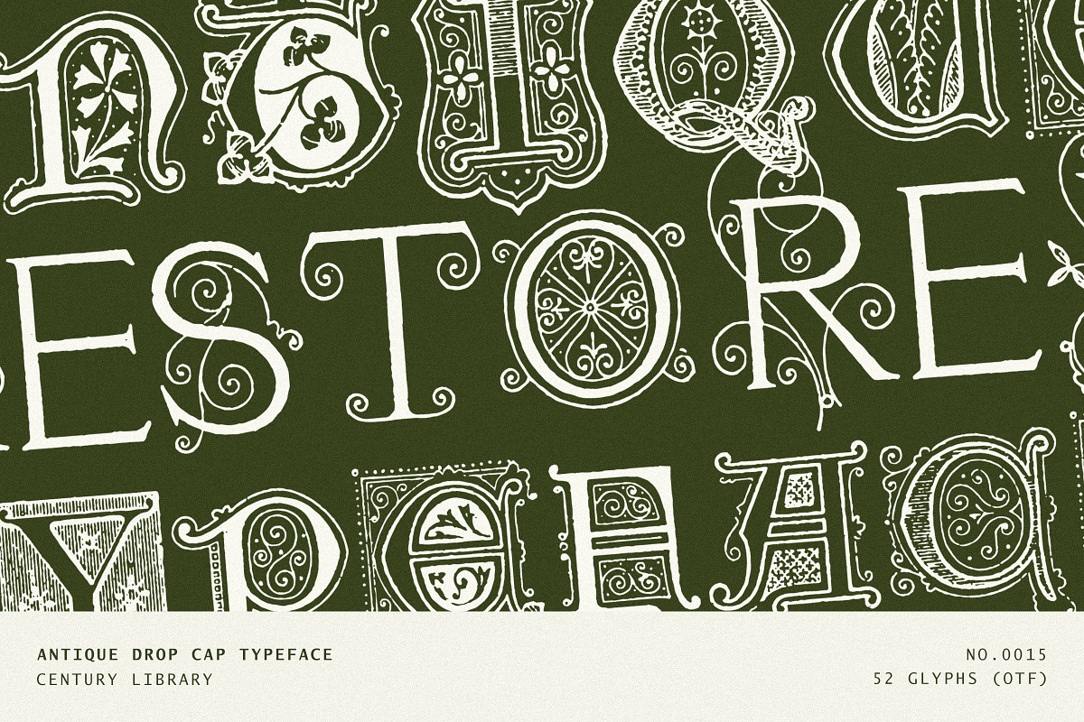Ornate Botanical Drop Cap Font No15, a Serif Font by Century Library (Photo 1 of 5)