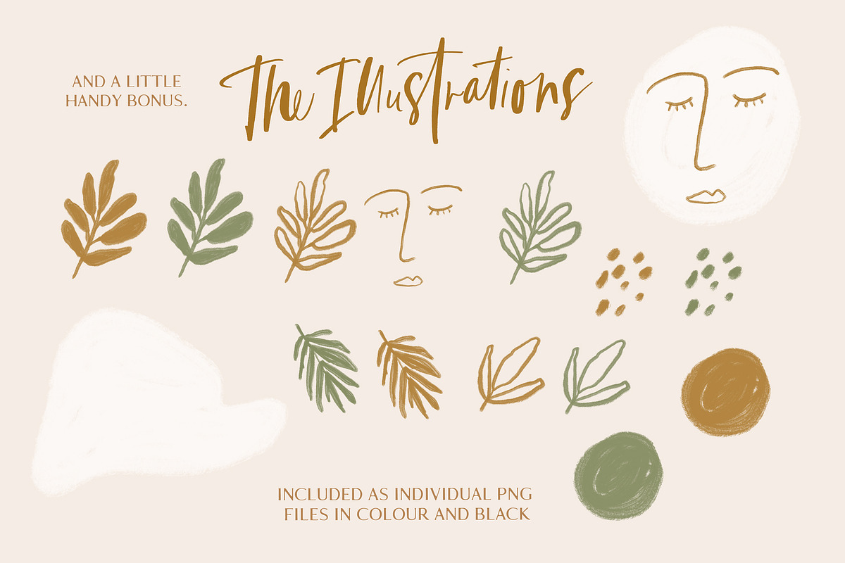 Picasso in Paradise Font preview 6