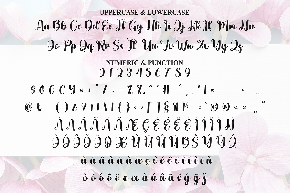 Magnolia | Script Font, a Handwritten Font by Scratchones (Photo 7 of 9)