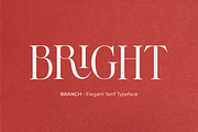 BRANCH - Elegant Serif Typeface, a Serif Font by zeenesia (Thumbnail 14 of 16)