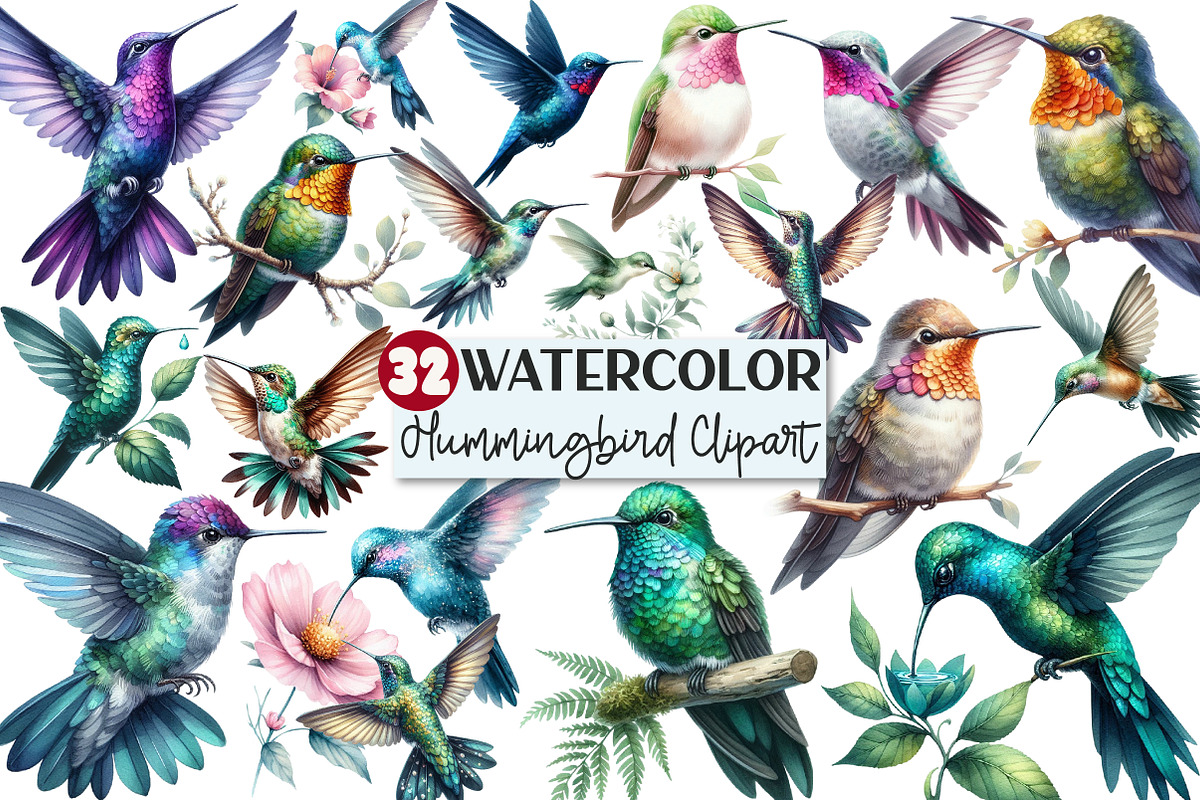 Watercolor Hummingbird Clipart, an Illustration by Rose Art (Photo 1 of 4)