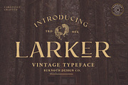 Larker, a Sans Serif Font by Burnoth Design Co. (Thumbnail 1 of 9)