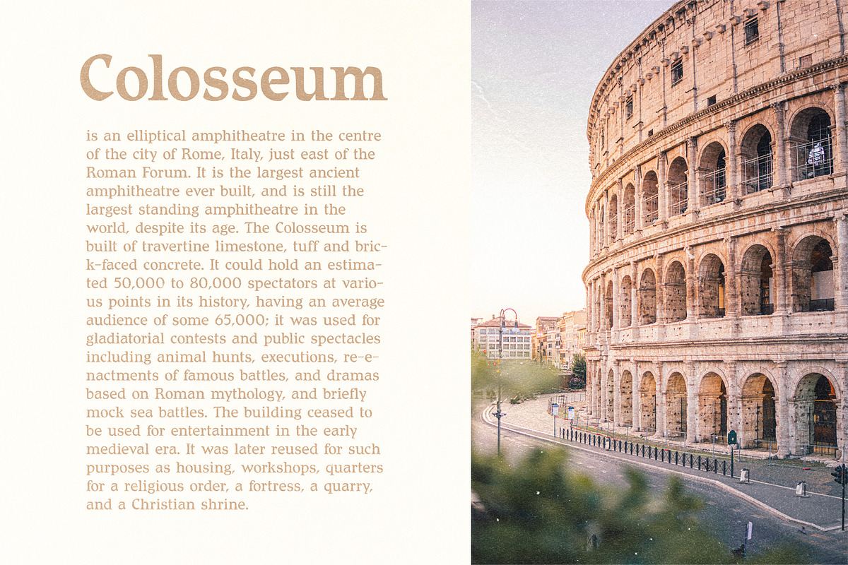 Maximus Roman Serif, a Serif Font by Bart Wesolek (Photo 2 of 10)