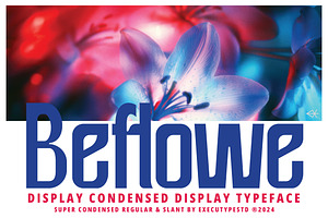 Beflowe Condensed Display, a Sans Serif Font by executypeStudio