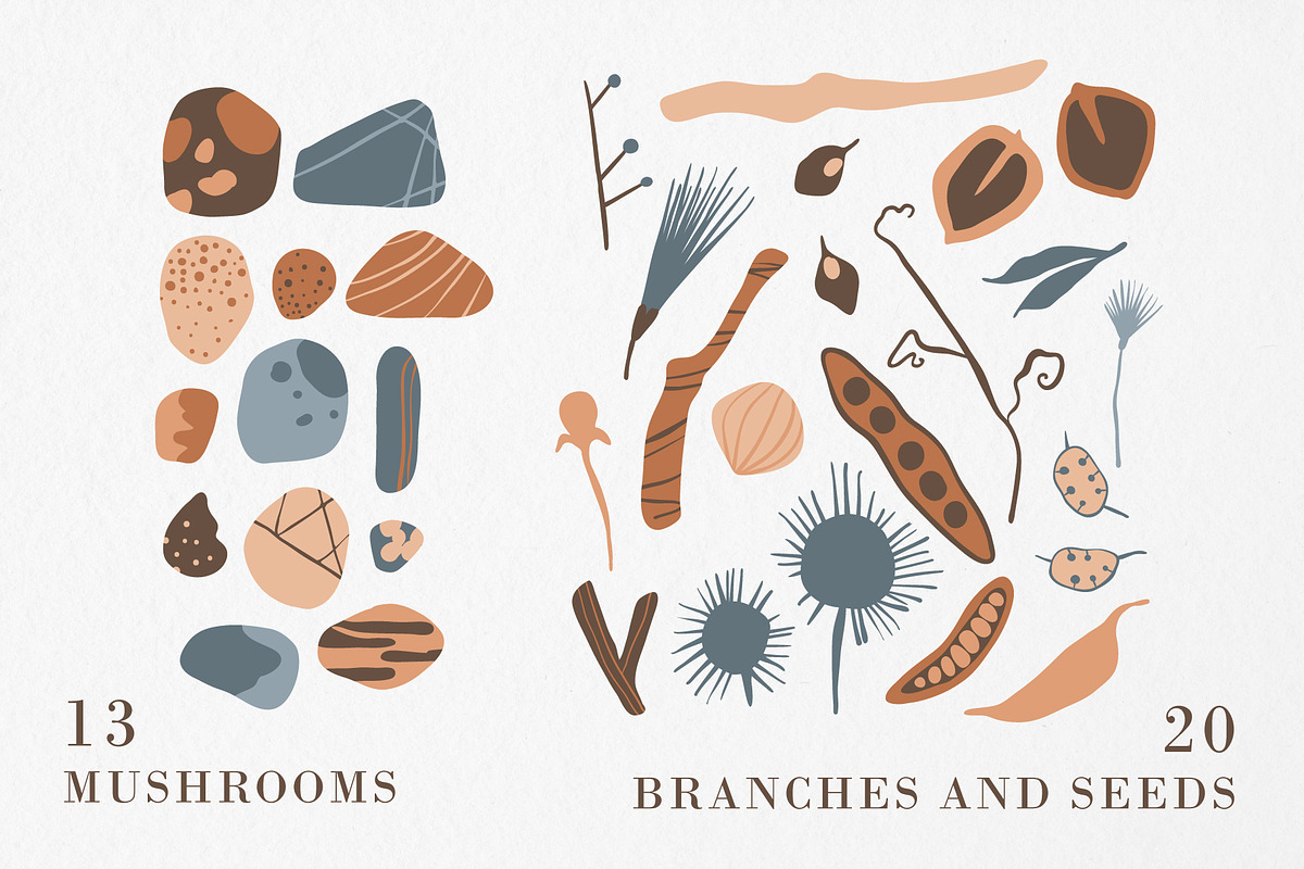 FOREST TREASURES big vector bundle, a Decorative Illustration by Lena Nikolaeva (Photo 7 of 16)