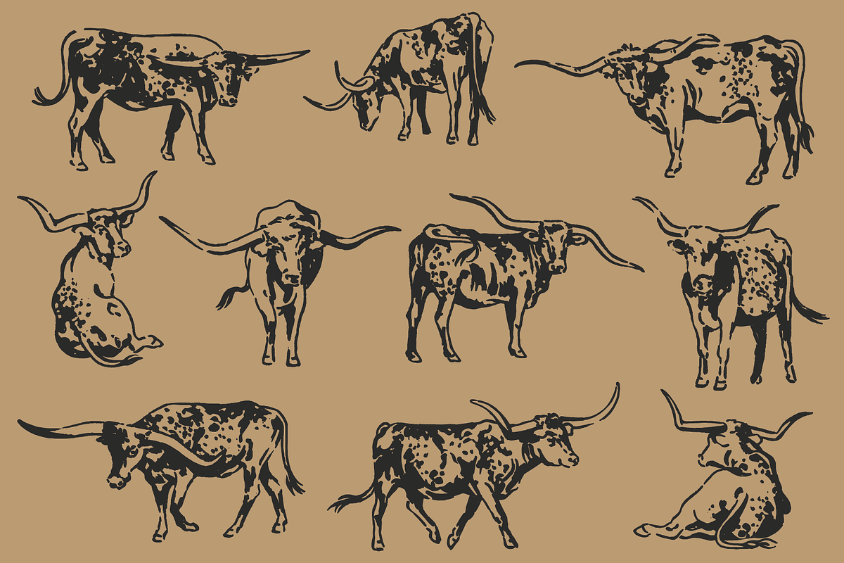 Longhorns - Western Illustration, an Animal Illustration by cmfgraphics (Photo 2 of 3)