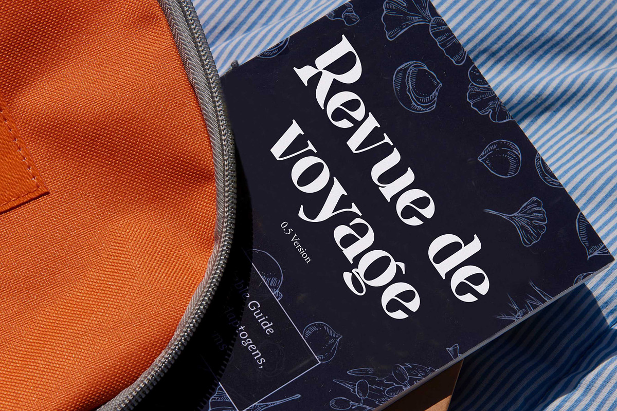 Benogi - Retro Serif Font, a Serif Font by Flawless And Co (Photo 8 of 12)