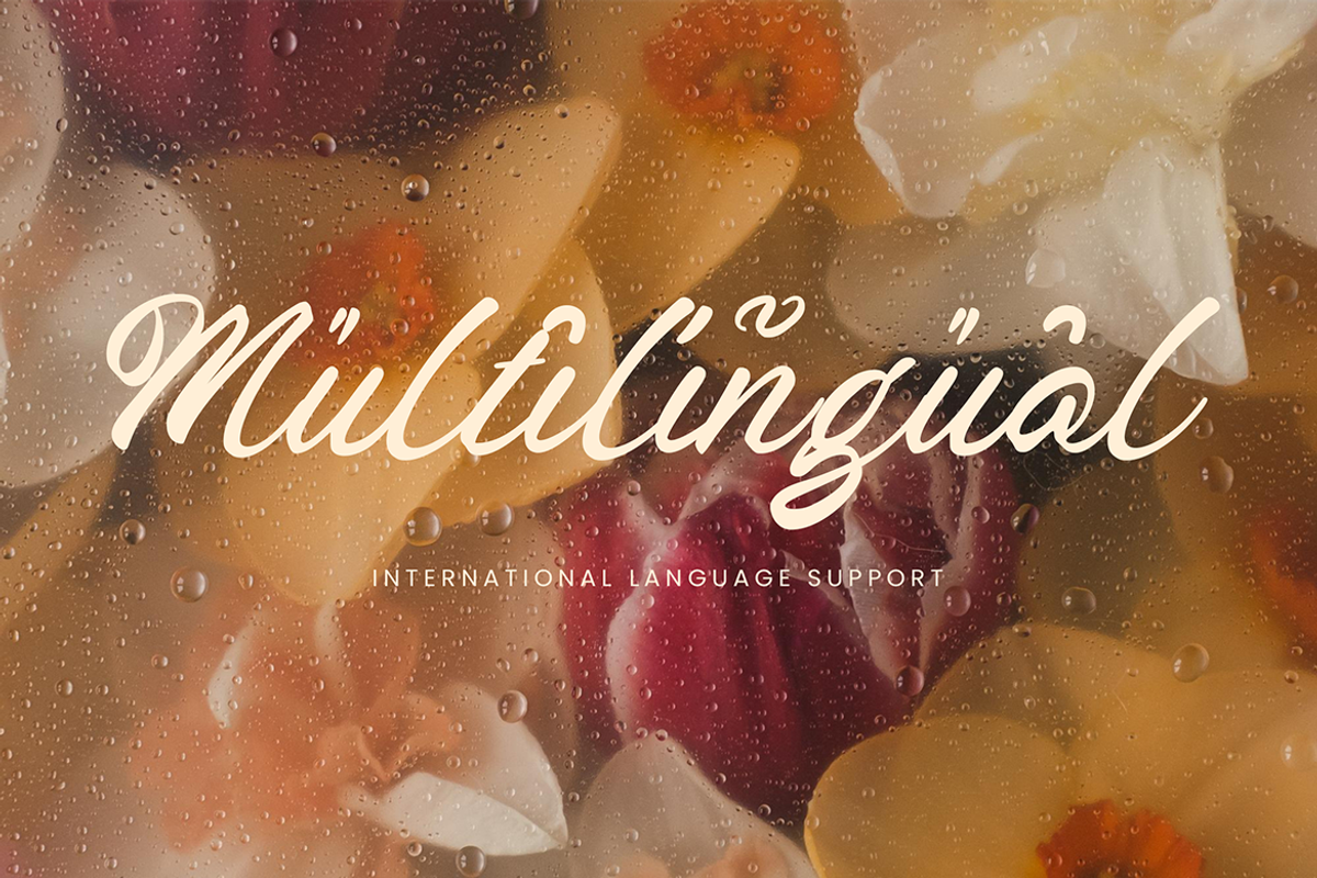 Broocklyn Brush Script, a Script Font by Creatype Studio (Photo 10 of 10)