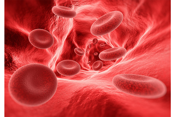 Blood cells in the vein preview 2