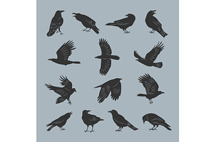 Crow silhouettes. Flying dark, a Background Graphic by Onyx