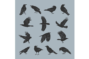 Crow Silhouettes. Flying Dark