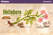 Hellebore Fantasy Nouveau Font, a Sans Serif Font by Paper Moon Graphic Supply (Thumbnail 6 of 6)