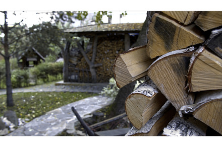 Firewood stacked in a woodpile, a Nature Photo by Media Whale Stock