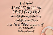 Lost Wind, a Script Font by Larin Type Co. (Thumbnail 10 of 10)