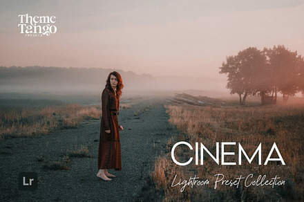 9 Cinematic Lightroom Presets, a Preset Add-On by ThemeTango
