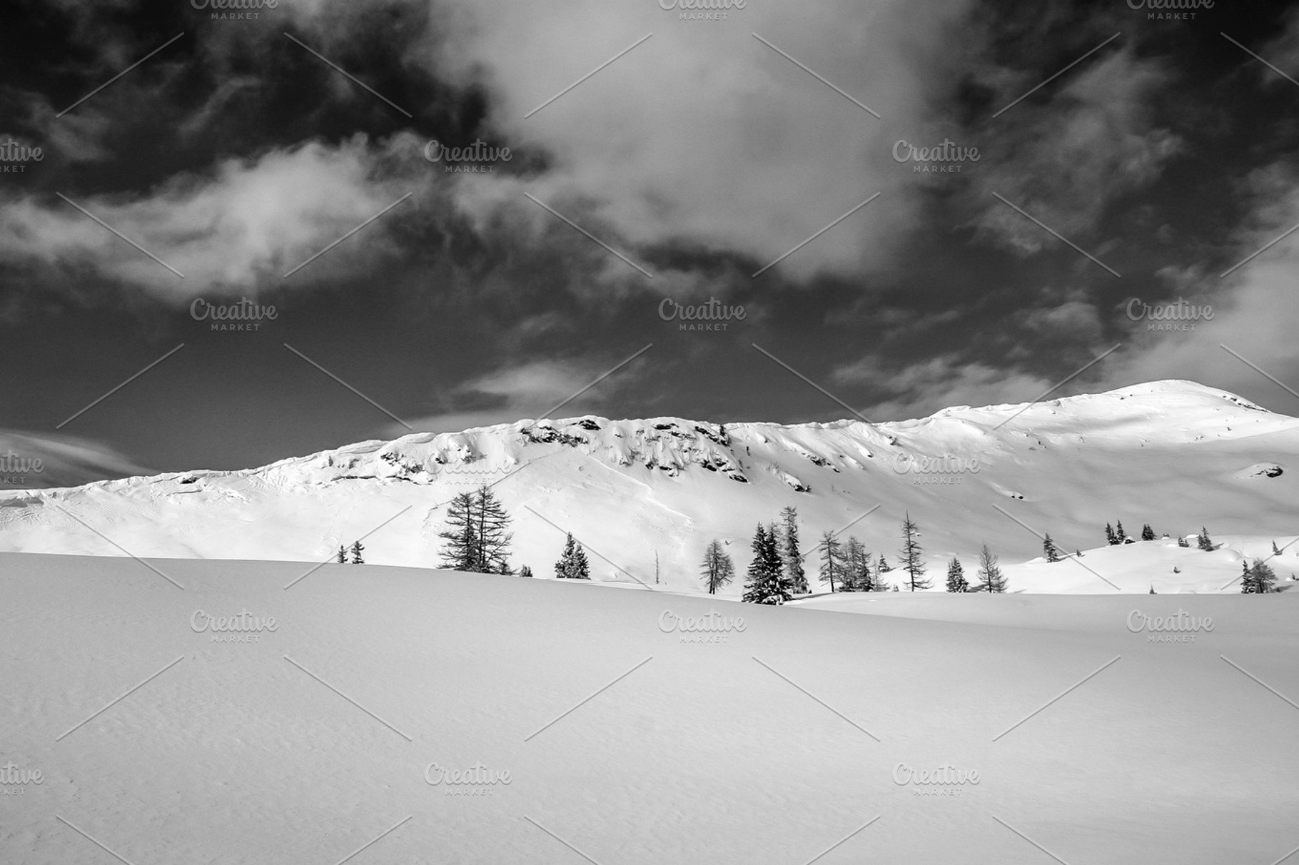 Winter Wonderland Featuring Winter Wonderland And Alpine