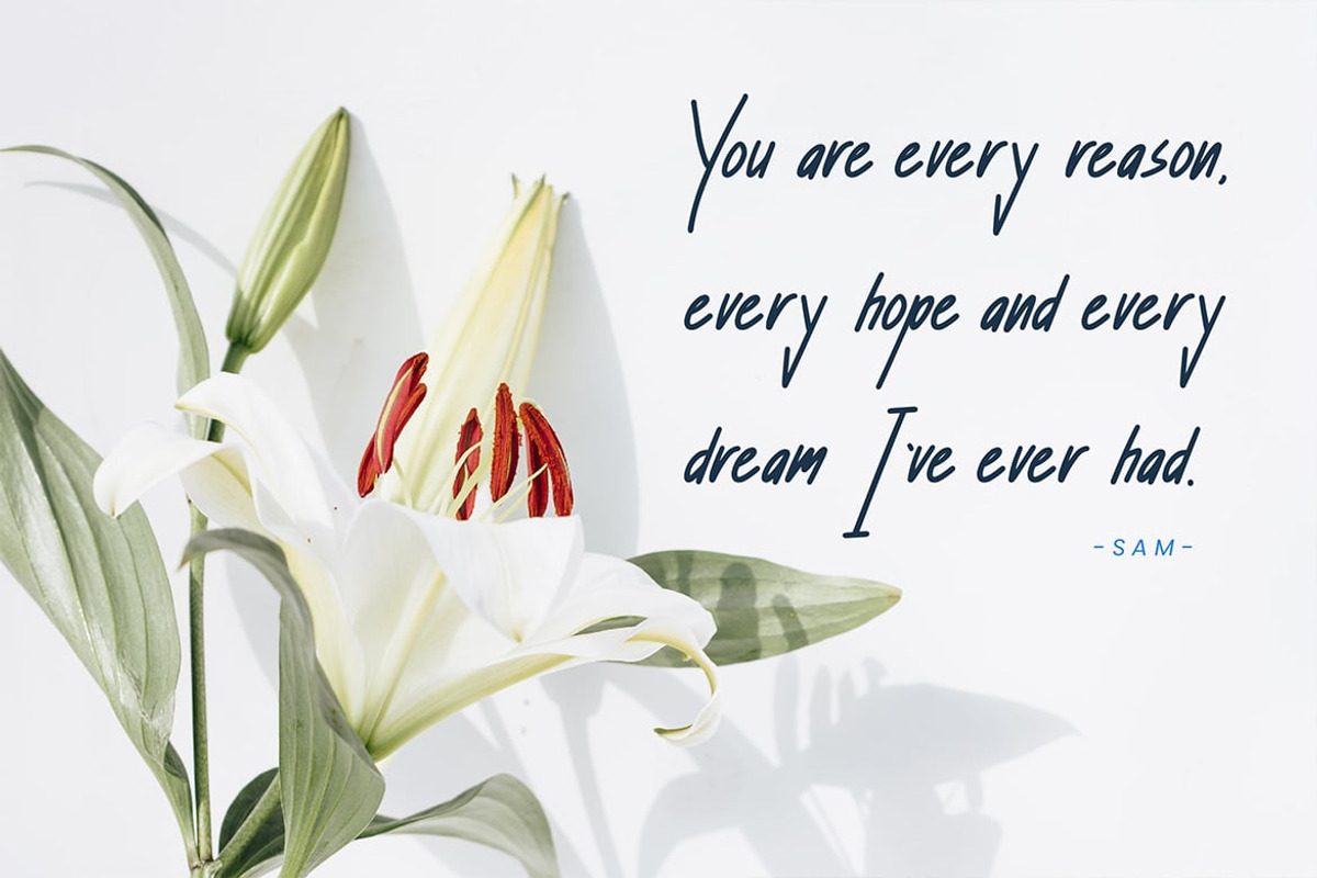 Shelley - Elegant Handwritten Script, a Script Font by Luna Shop (Photo 6 of 6)