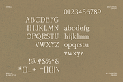 Oonelle - Elegant Serif Display, a Font by Indotype Foundry (Thumbnail 9 of 10)
