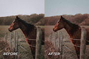 15 Fall Lightroom Presets, a Preset Add-On by TheWayfarerShoppe (Thumbnail 6 of 8)