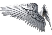 set of photorealistic angel wings, an Object Graphic by itakdalee (Thumbnail 9 of 11)