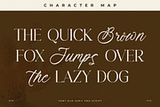 Primrose Essentials Font Duo, a Serif Font by Storytype Studio (Thumbnail 2 of 15)